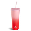 24 oz Ombre Chilly Tumbler